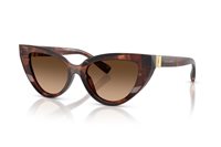 Sonnenbrille  D&G Dame 0DG449732227452 - 0DG449732227452